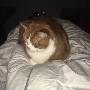 Meet your Posher, Olivia